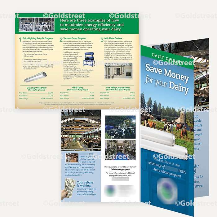 Dairy Brochure 8.5x11 trifold 0000AG
