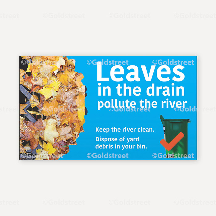 Leaves in Drain Pollute the River 0000AQ