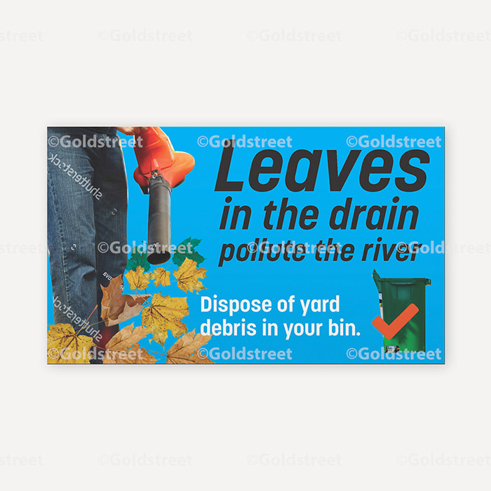 Leaves in Drain Pollute the River 0000AR