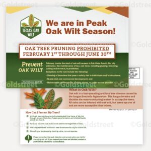 oak wilt postcard